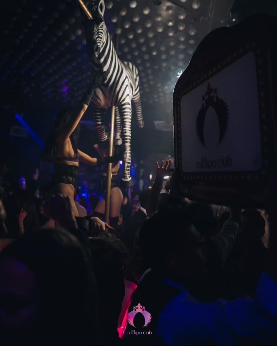 Zebra prop and performer above the crowd when the venue traded as the Cuckoo Club