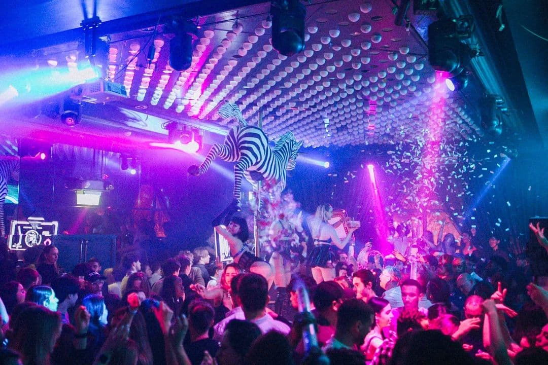 Dancefloor with a zebra prop and confetti when the venue traded as the Cuckoo Club